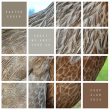 Load image into Gallery viewer, Coop Club | Q2 ‘Jessica’ & ‘Down’