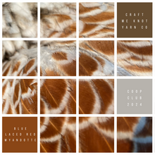 Load image into Gallery viewer, Coop Club | Q1 | 'Loretta' & 'Plume'