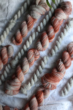 Load image into Gallery viewer, Coop Club | Q1 | 'Loretta' & 'Plume'