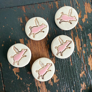 Ceramic Magnets | Assorted
